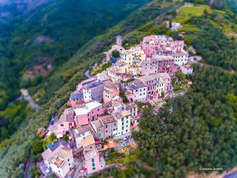Cinqueterre - Terrace And Beautiful View Apartment Levanto Exterior foto